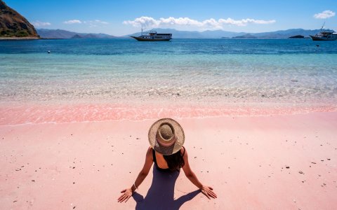 Indonezja - w krainie tysiąca wysp Jawa, Bali, Komodo - Ping Beach Padar Island(23).jpg